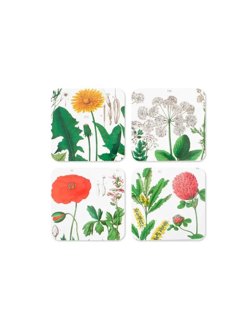Bases para copos Hortus botanicus